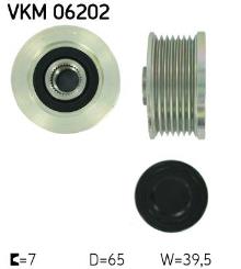 SKF VKM 06202